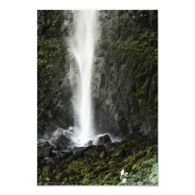 Spirit of the Basin Photo Print (Front)