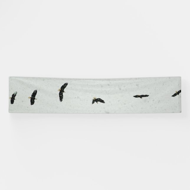 Spirit of the Flight Banner (Horizontal)