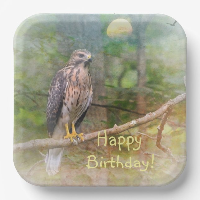 Spirit Of The Hawk Birthday Paper Plate (Front)