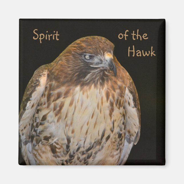 Spirit Of The Hawk Magnet (Front)