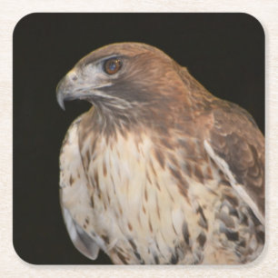 Spirit of the Hawk Square Paper Coaster