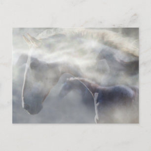 Spirit of the Horse Postcard