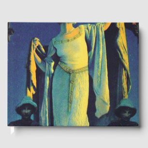 Spirit Of The Night - Maxfield Parrish Guest Book