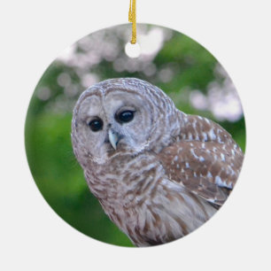 Spirit Of The Owl Ceramic Tree Decoration