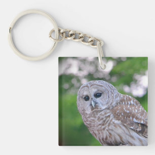 Spirit Of The Owl Key Ring