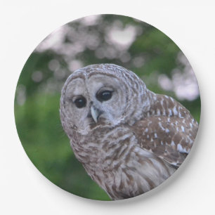 Spirit Of The Owl Paper Plate