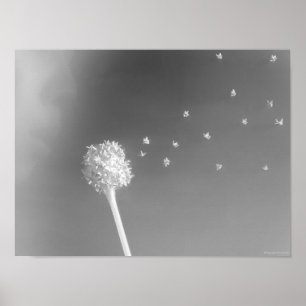 Spirit of the Wind Poster