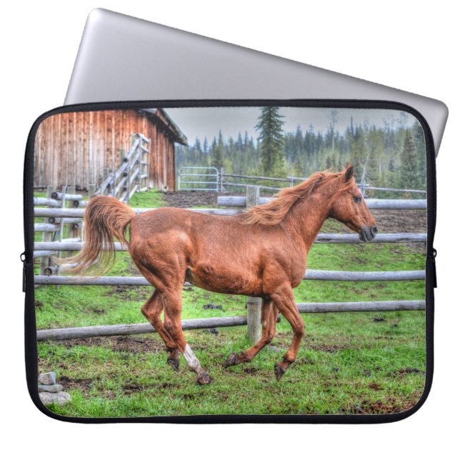 Spirited Dun Pony, Horse Running on Ranch I Laptop Sleeve (Front)