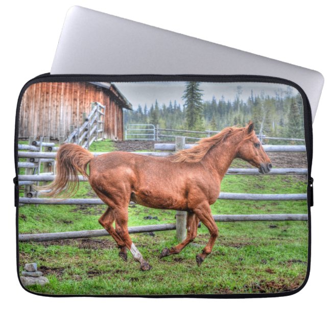 Spirited Dun Pony, Horse Running on Ranch I Laptop Sleeve (Front)