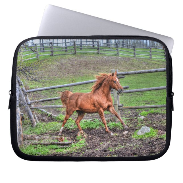 Spirited Dun Pony, Horse Running on Ranch Laptop Sleeve (Front)