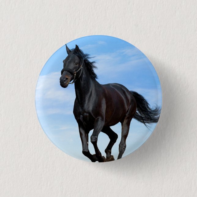 Spirited Horse Round Buttons (Front)
