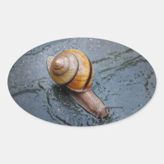 Spirited Snail on a Rainy Day Oval Sticker
