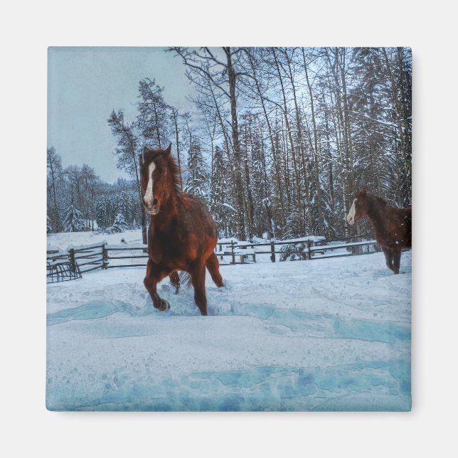 Spirited Sorrel Horse in Snow for Horse-lovers II Magnet (Front)