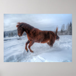 Spirited Sorrel Horse Rearing Up in Winter Snow Poster