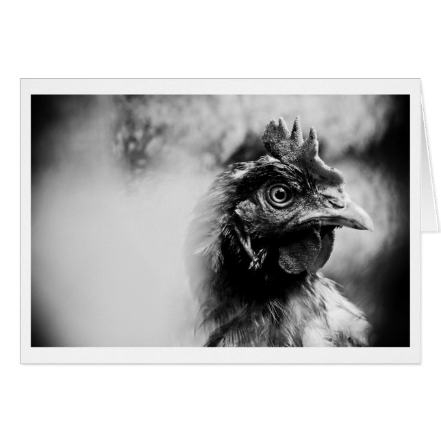 spirits and chickens 2 (Front Horizontal)