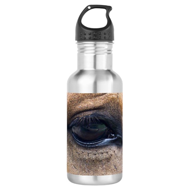 Spirit's Eye 710 Ml Water Bottle (Front)
