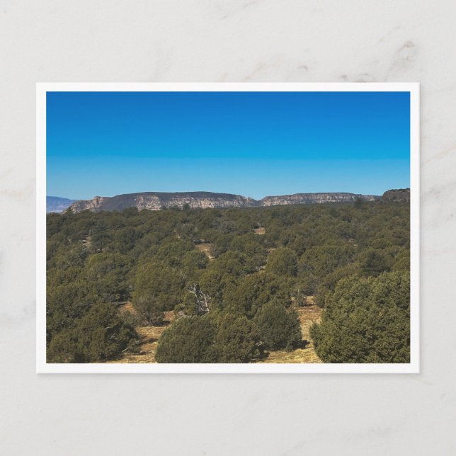 spiritual energy postcard (Front)