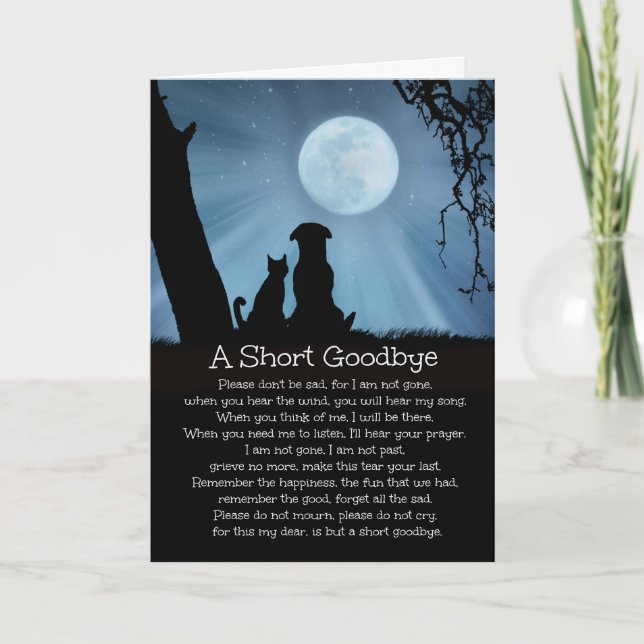 Spiritual Loss of Dog, Cat Sympathy Card with Poem (Front)