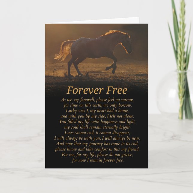 Spiritual Type Horse Sympathy Card (Front)