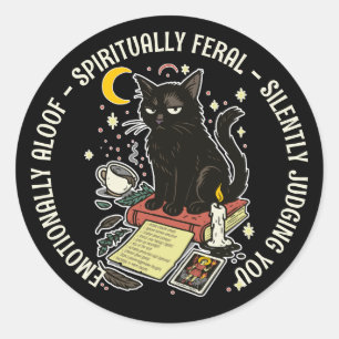 Spiritually Feral Cat: Emotinally Aloof, Judging Classic Round Sticker