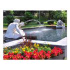 Spit and Spat - CONGRESS PARK