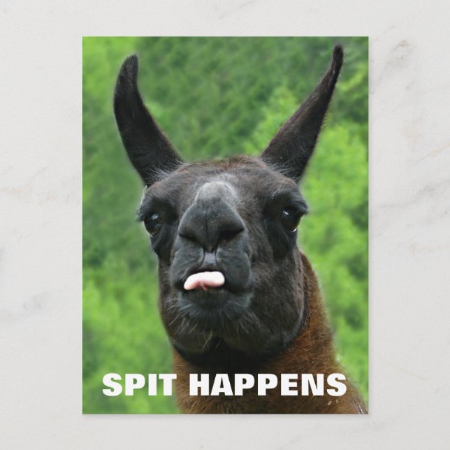 Spit Happens Postcard (Front)
