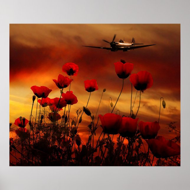 Spitfire Salute Poster (Front)