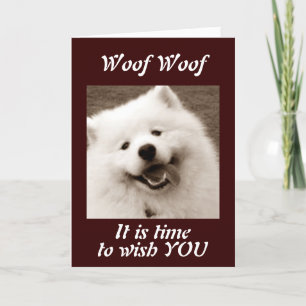 SPITZ WISHES YOU A "VERY MERRY CHRISTMAS" CARD