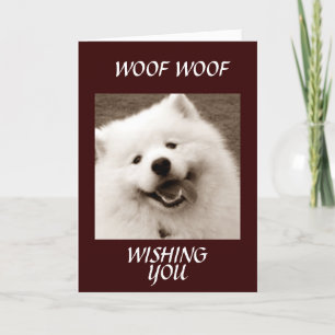 SPITZ WISHES YOU *CONGRATS ON YOUR GRADUATION* CARD