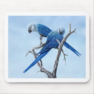 Spix Macaw gifts for the Spix lover Mouse Mat
