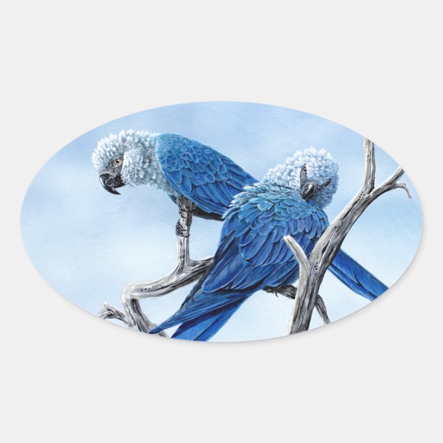 Spix macaw. The blue Parrot of the film Rio. Oval Sticker (Front)