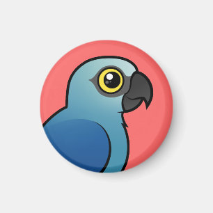 Spix's Macaw Magnet