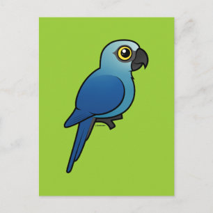 Spix's Macaw Postcard