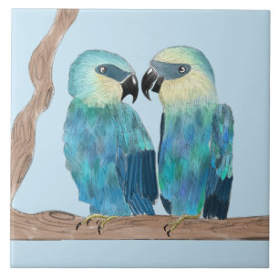 Spix's Macaws on a Ceramic Tile - (B)