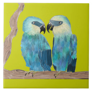 Spix's Macaws on a Ceramic Tile - (G)