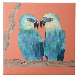 Spix's Macaws on a Ceramic Tile - (O)