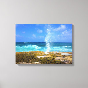 Splash Canvas Print