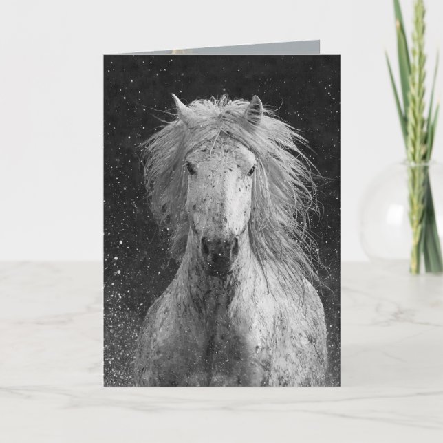 Splash Horse Greeting Card (Front)