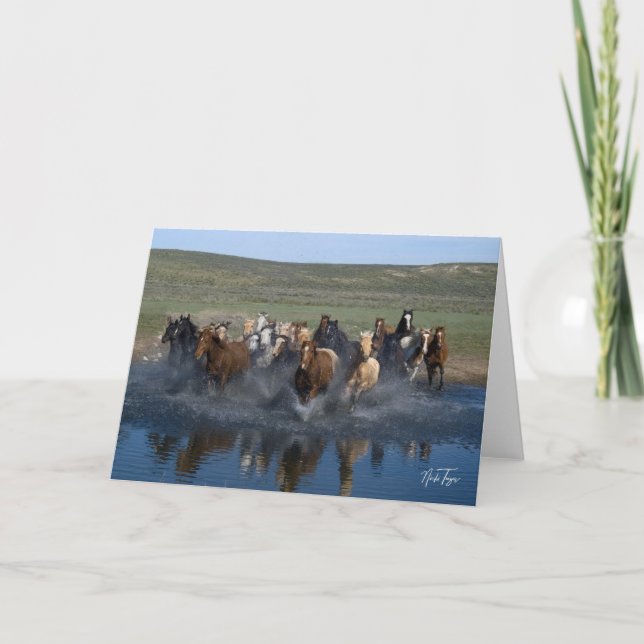 Splash! note card (Front)