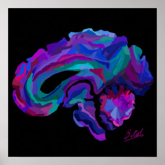 Splash of Colour Brain Poster