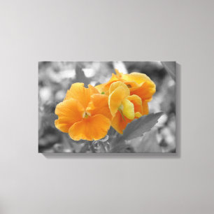 Splash of Orange Canvas Print