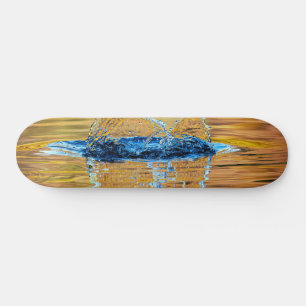 Splash on a fall evening skateboard