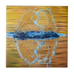 Splash on a fall evening tile