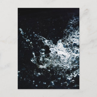 Splash Postcard