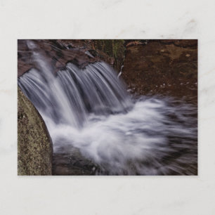 Splash Postcard