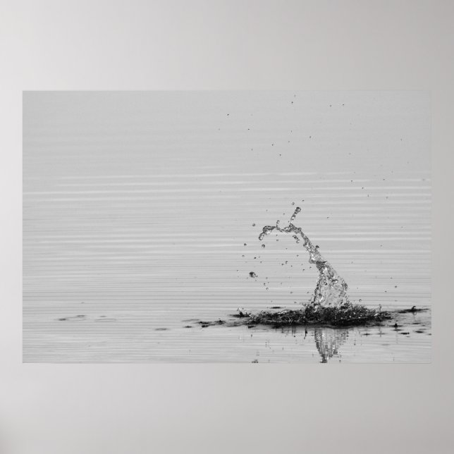 Splash Poster (Front)