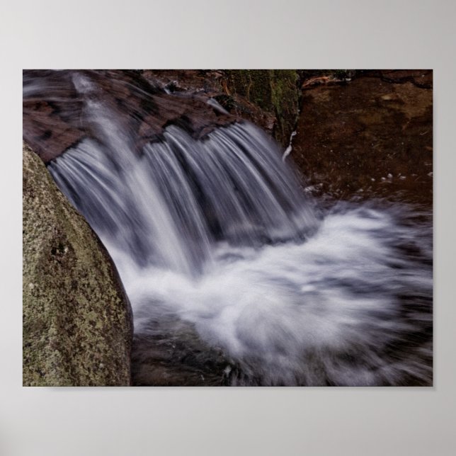 Splash Poster (Front)