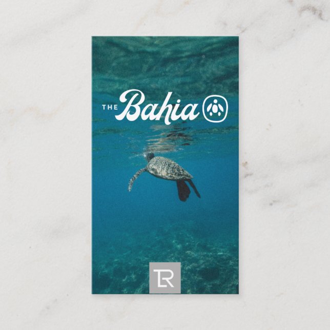 Splash Sea Turtle Logo and Teal Business Card (Front)