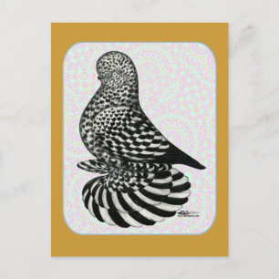 Splash Tumbler Colours Postcard