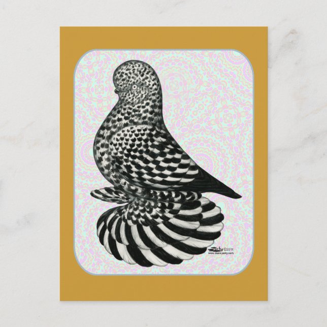 Splash Tumbler Colours Postcard (Front)